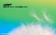 雨林木风win11 32位真正无广告版v2021.12